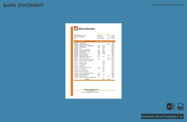 Beispiel-Excel-Vorschau eines Kontoauszugs der chilenischen Staatsbank